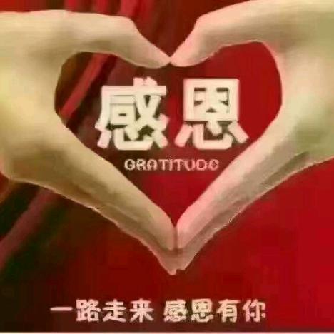 小芳🌹64年12月18日龙🐉