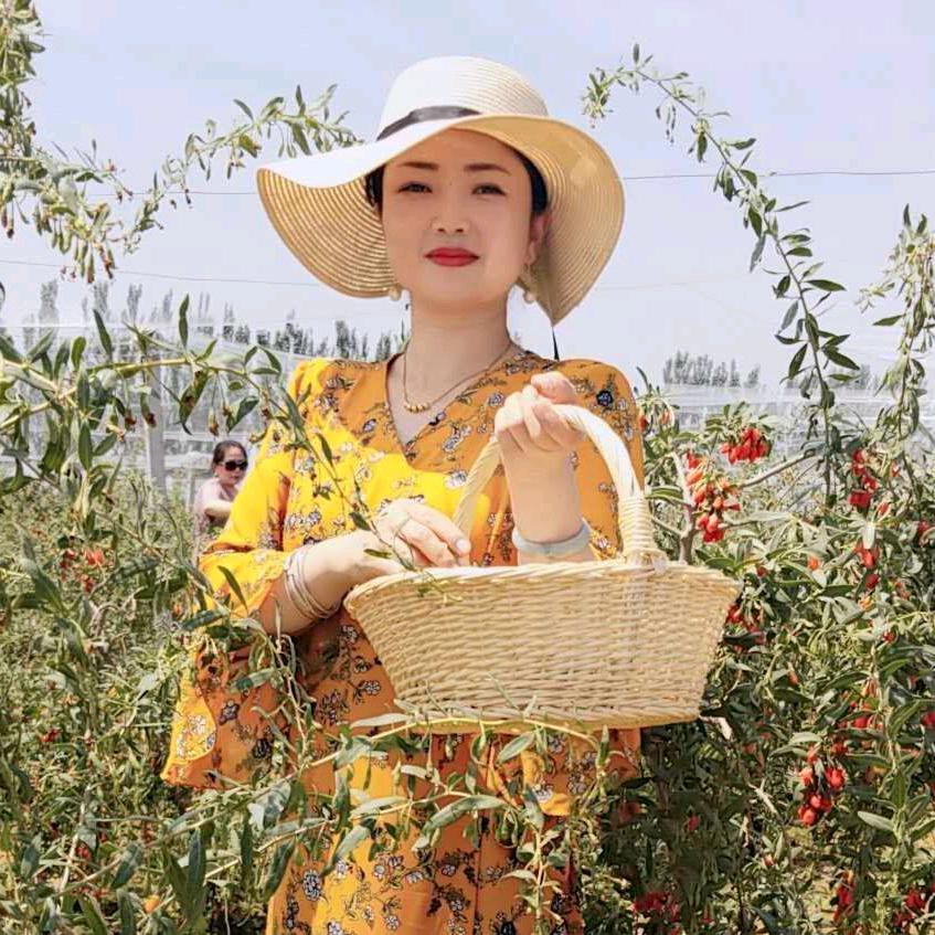 塞上八朵有个娟姐姐