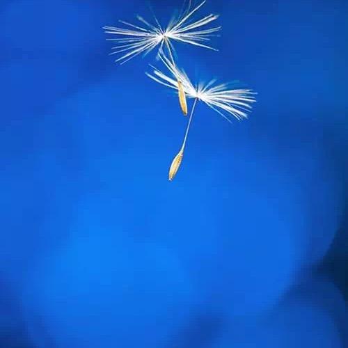 W💙💞💖X