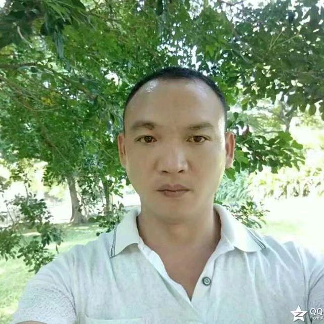 月光下滴孤影……飞