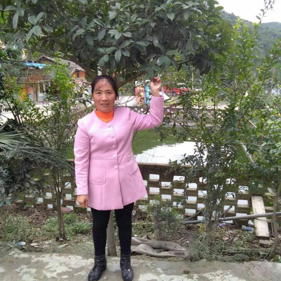 李经兰