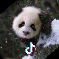 昊子