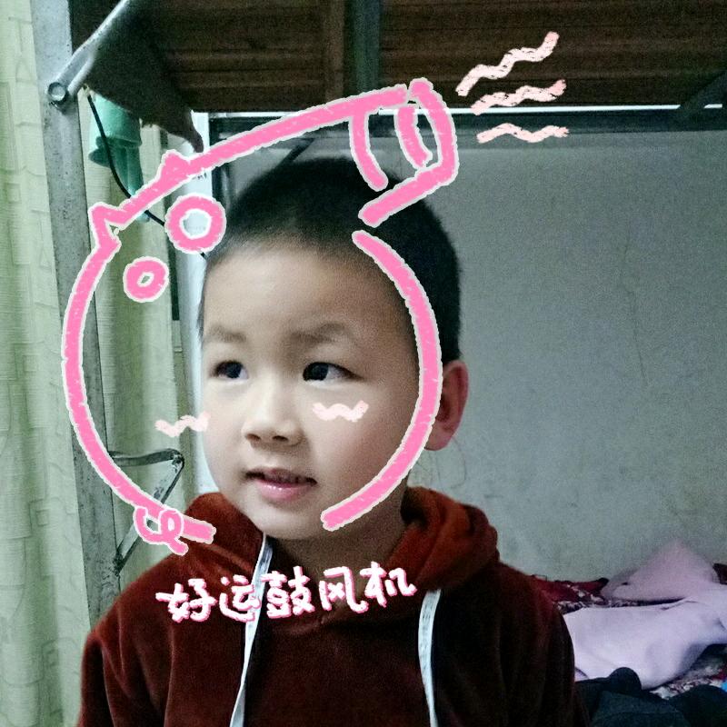 琴