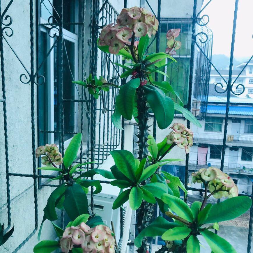 开心每一天💕☀️