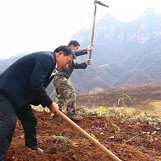 古村风味