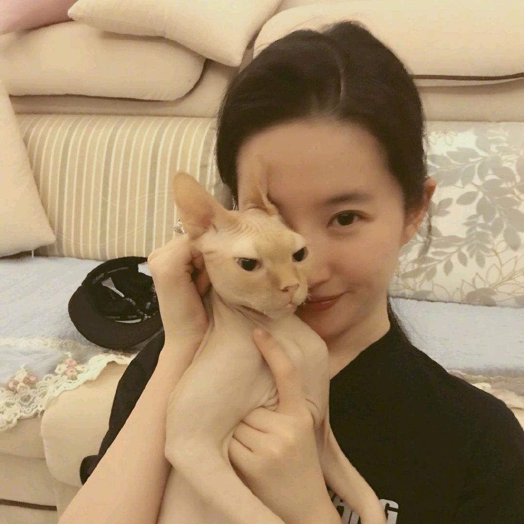 梦婷呀i