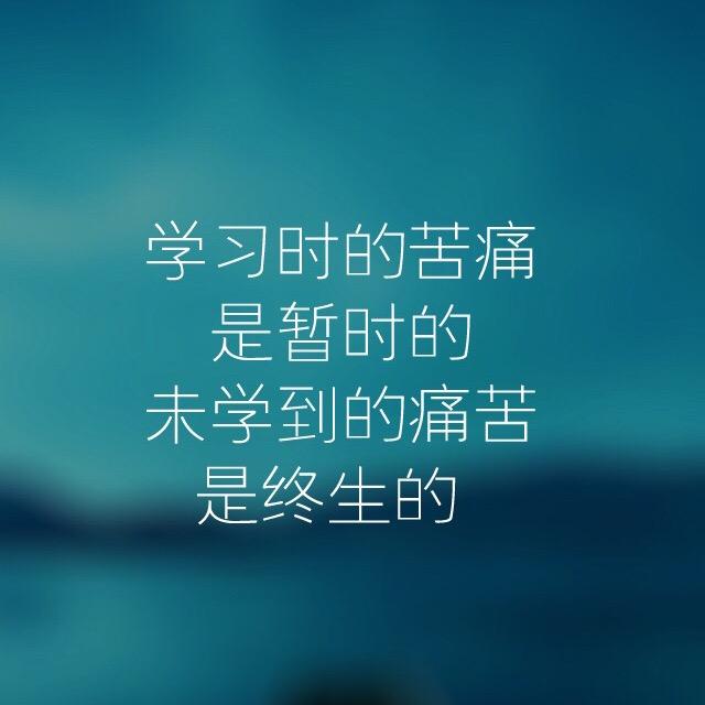 斌斌有礼啦