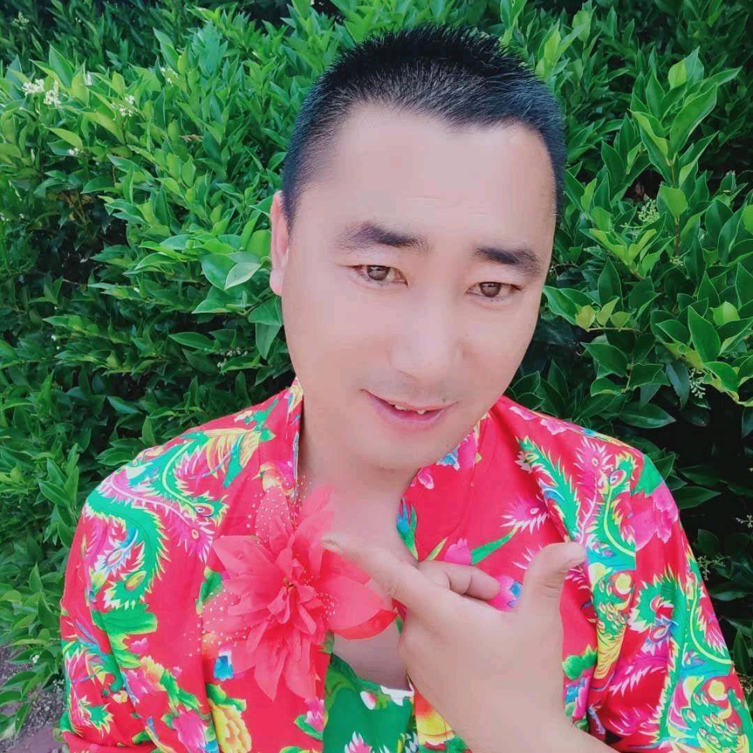 东北春哥