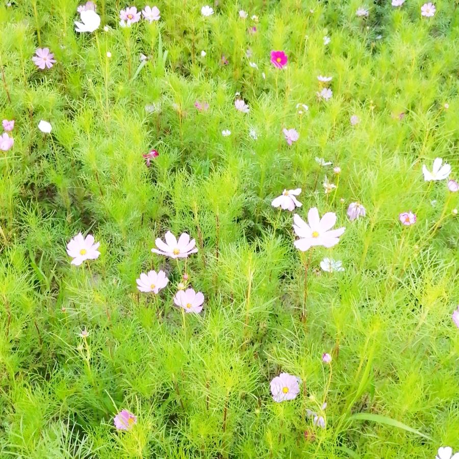 茫茫人海