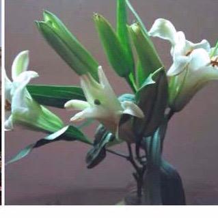 隆亿登（胖哥的衣柜）