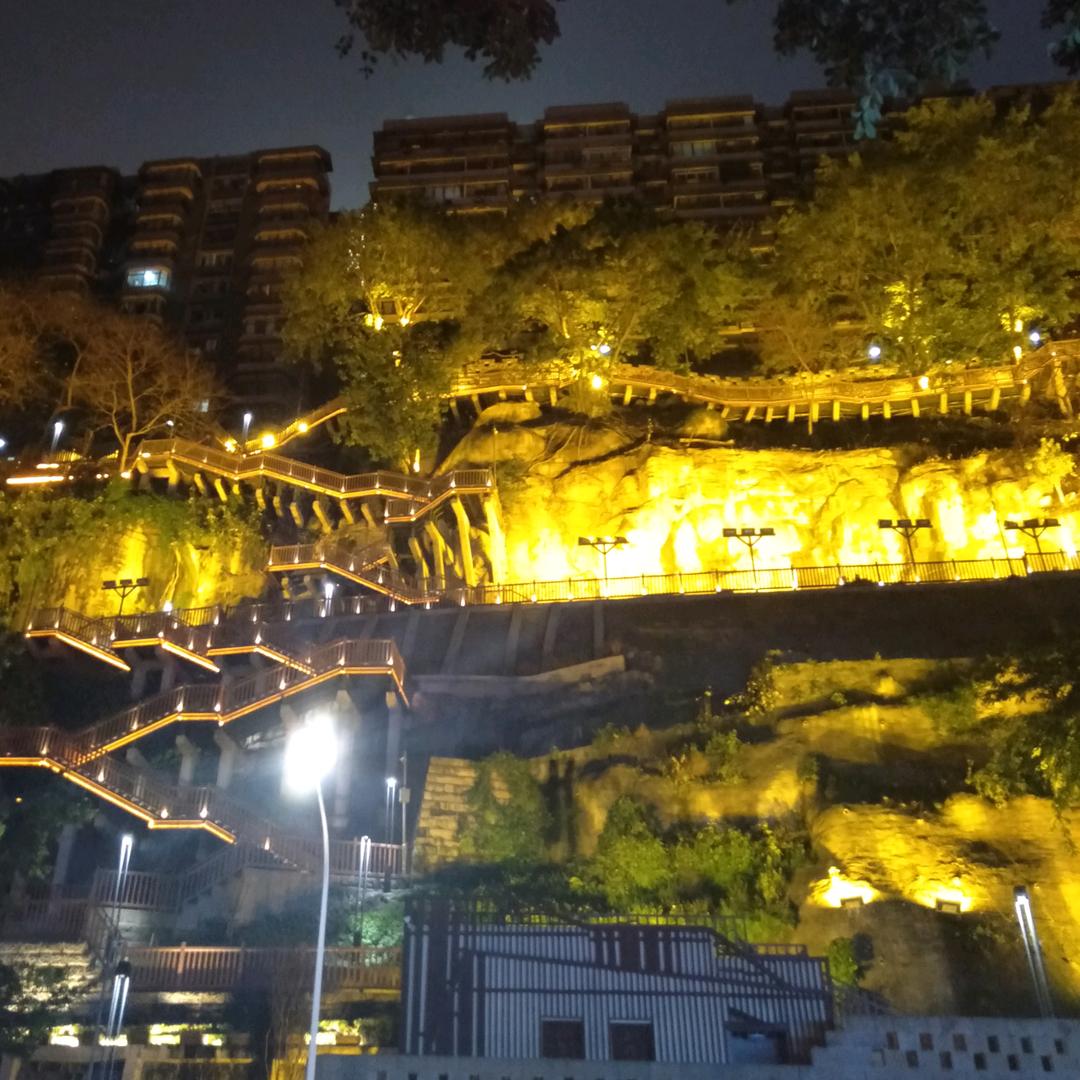 ヾ(@^招财🐱▽^@)ノ