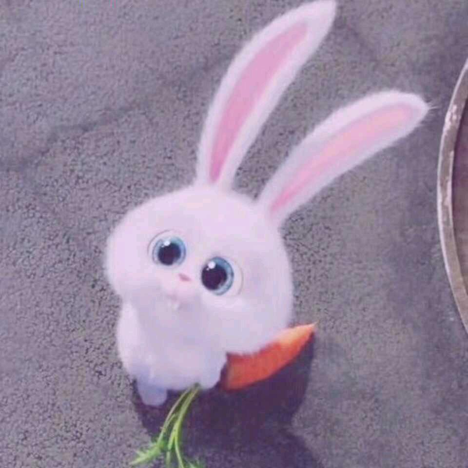 樱花如恋
