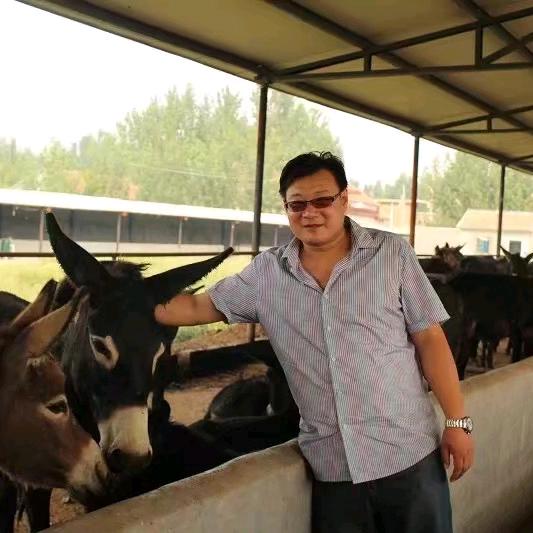 鹿鼎记奇毛驴全鹿全驴宴鹿肉驴肉火锅