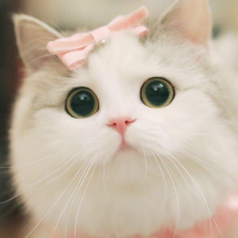 Childhoodbaby
