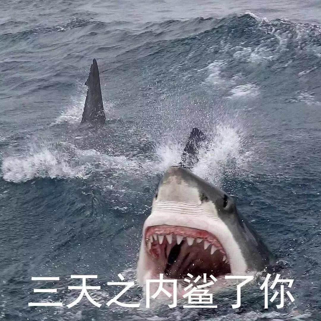 Chai. （延毕版）