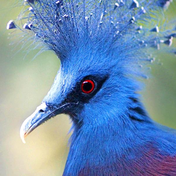 笑看(*^ω^*)人生