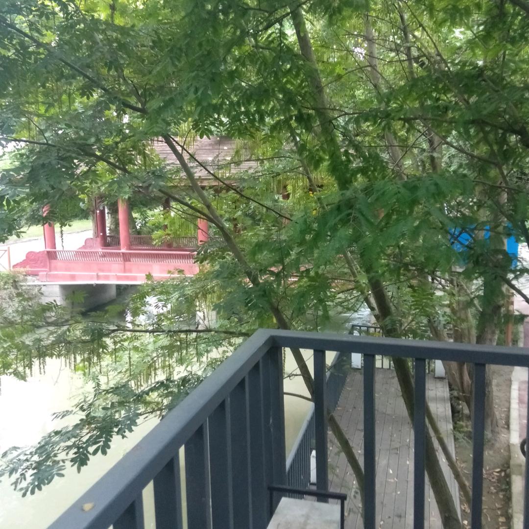 君哥