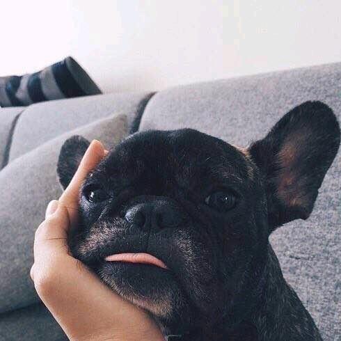 🖤