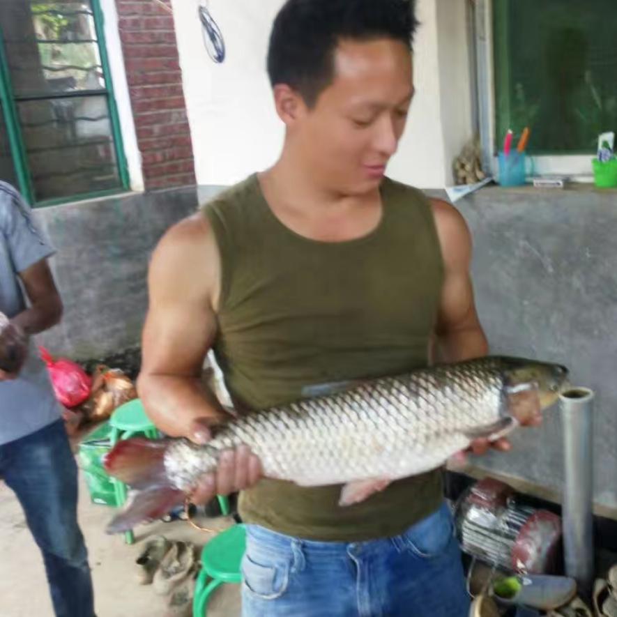 火头军——五哥