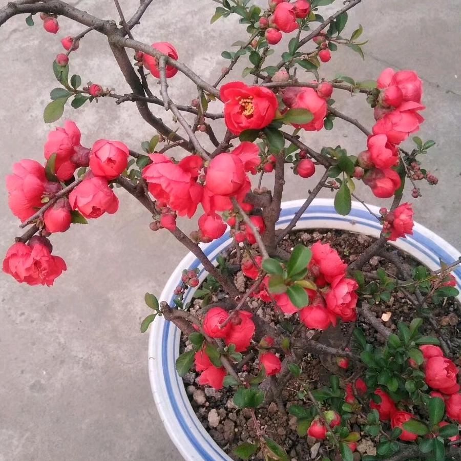 雨后的彩虹