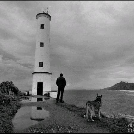 /      七安      /