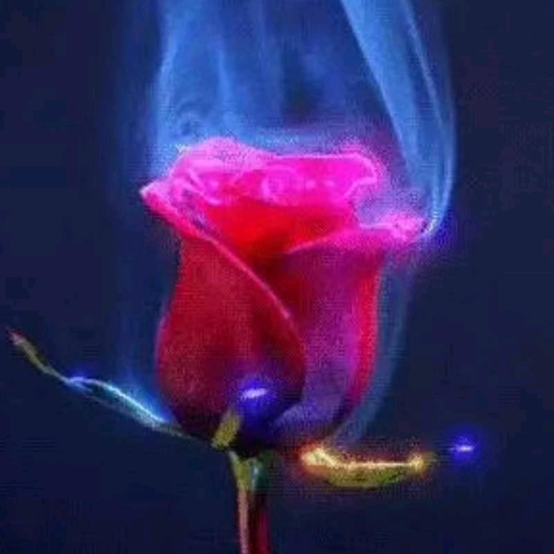 你好美女可以认识你吗