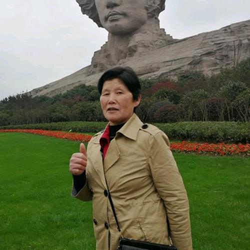 拓垦者