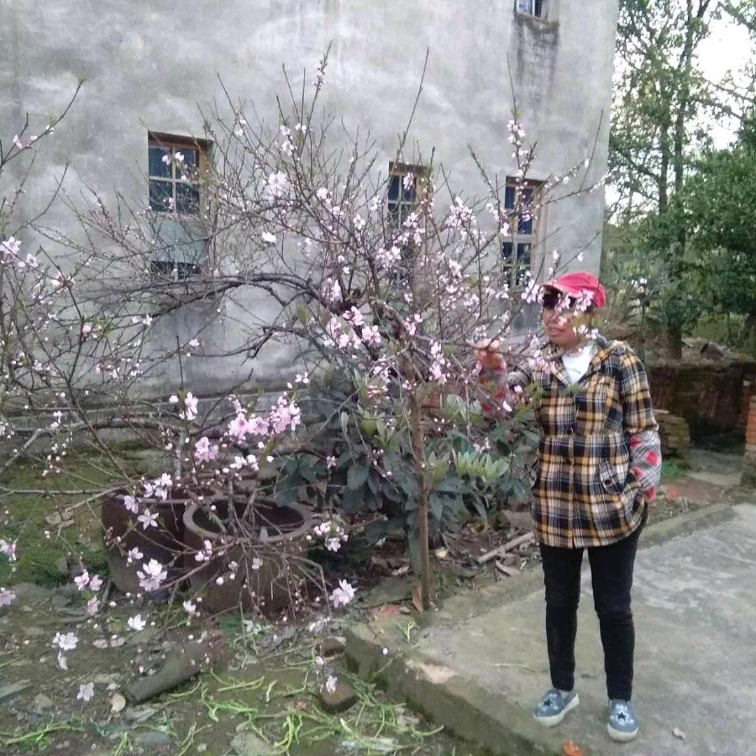 人生如梦168(专业贴瓷砖)