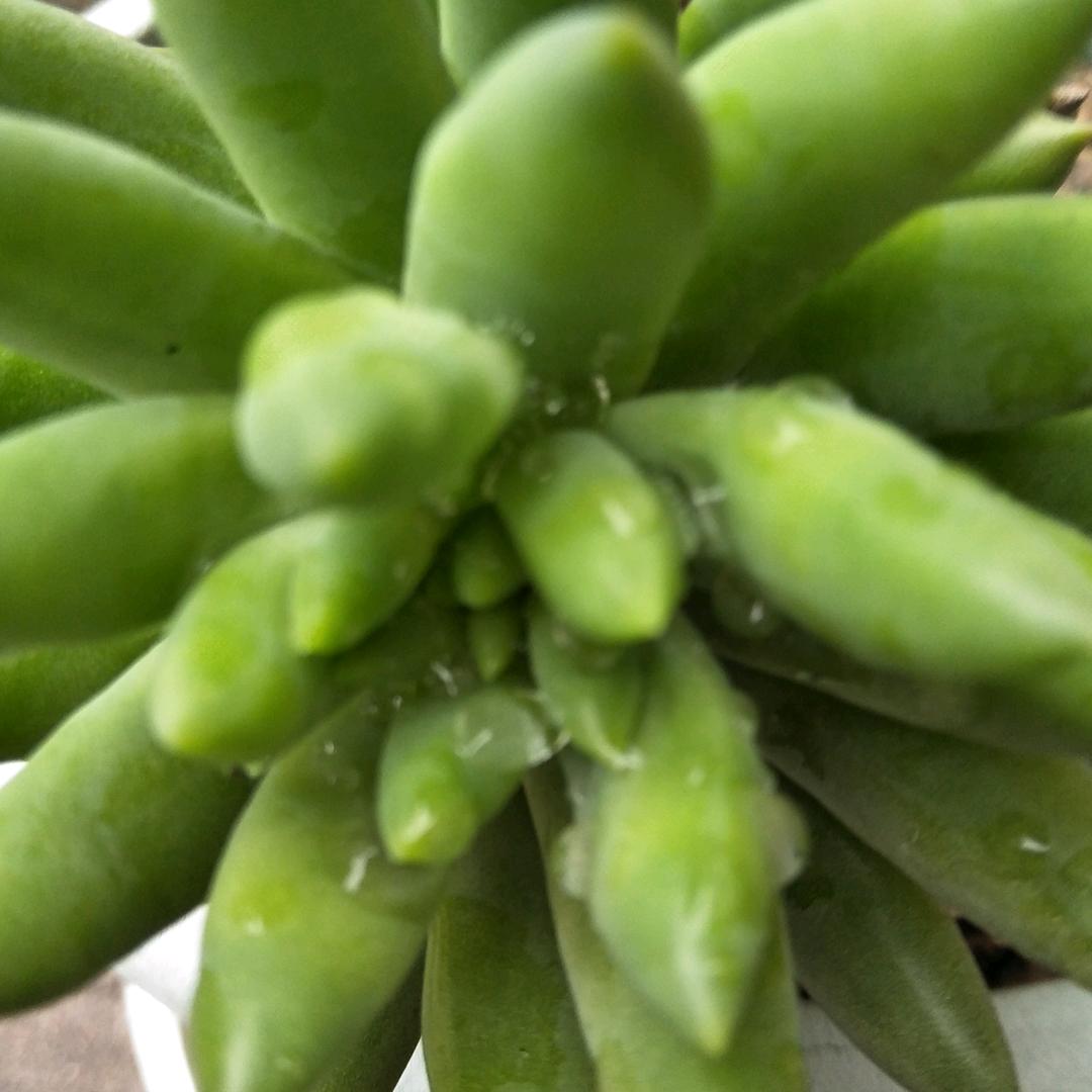 封姐(拒绝连赞)