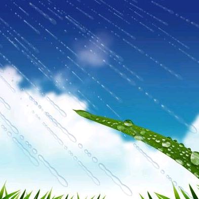 喜雨诚信