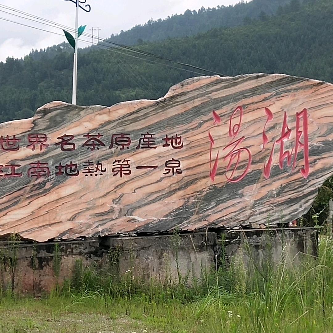 高山茶(狗牯脑茶农)