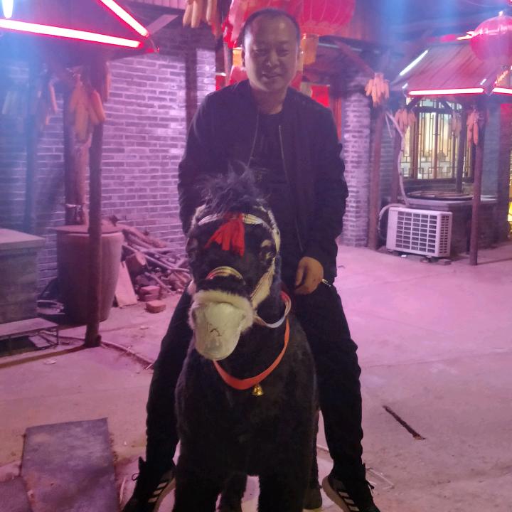 失之我命