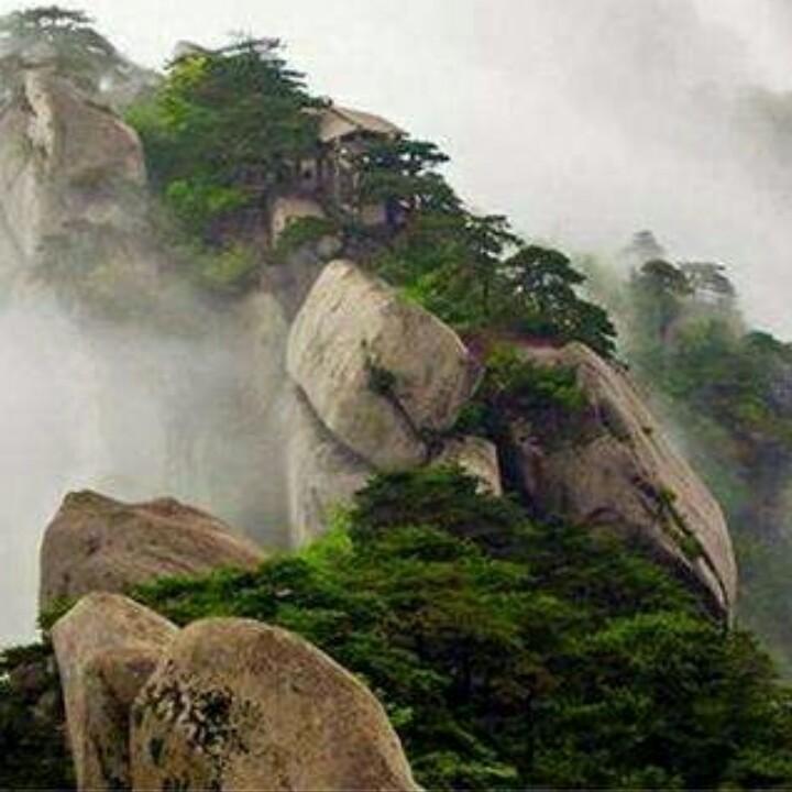智阴居士