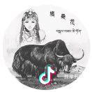 格桑花车队带你畅游西北