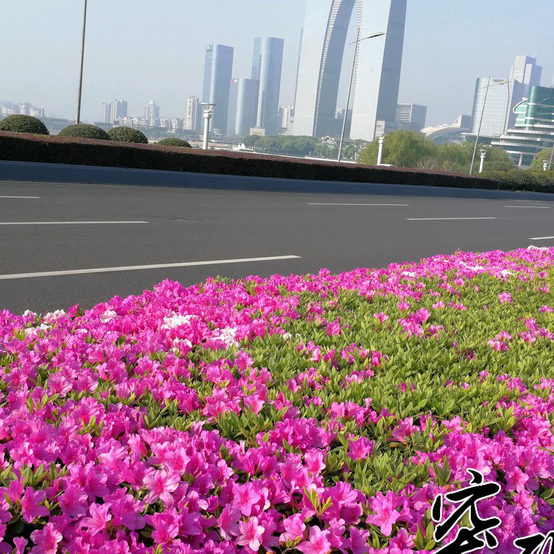 微笑姐🌹🌹🌹