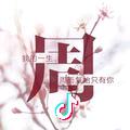 凤舞九天
