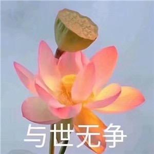 花好月圆夜
