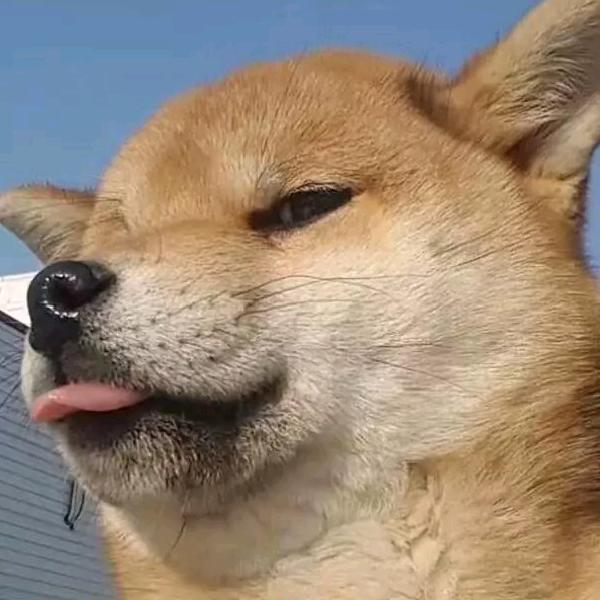 野狼