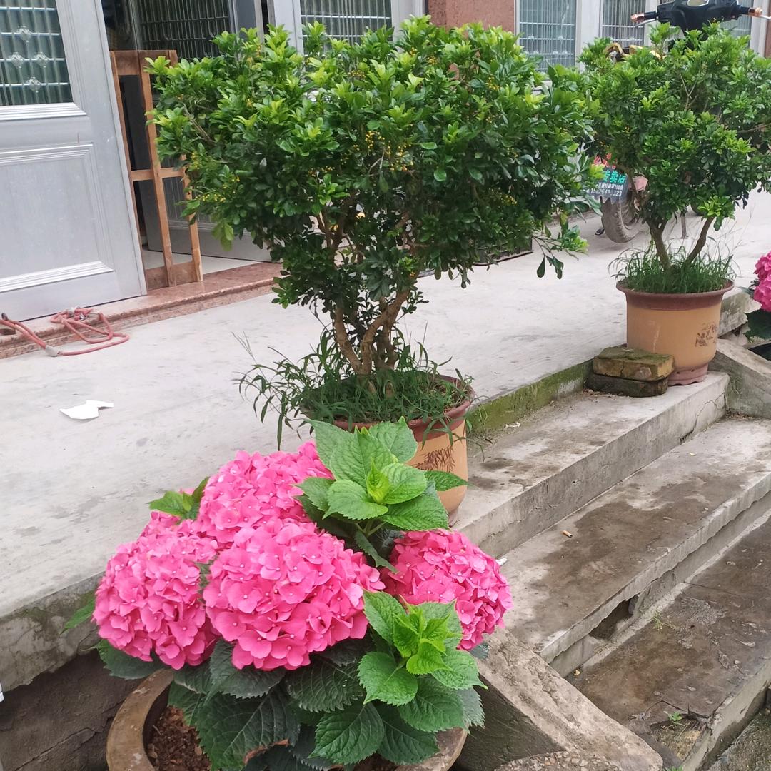 专业做瓷砖美缝 勾缝