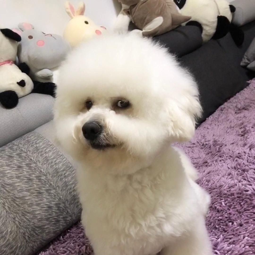 咕噜宝
