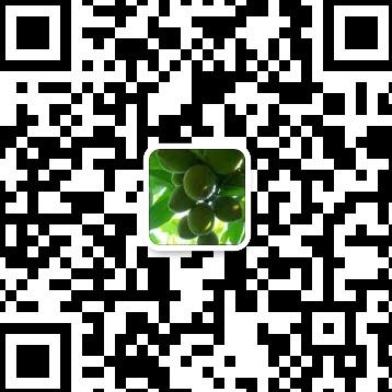 奉化水蜜桃