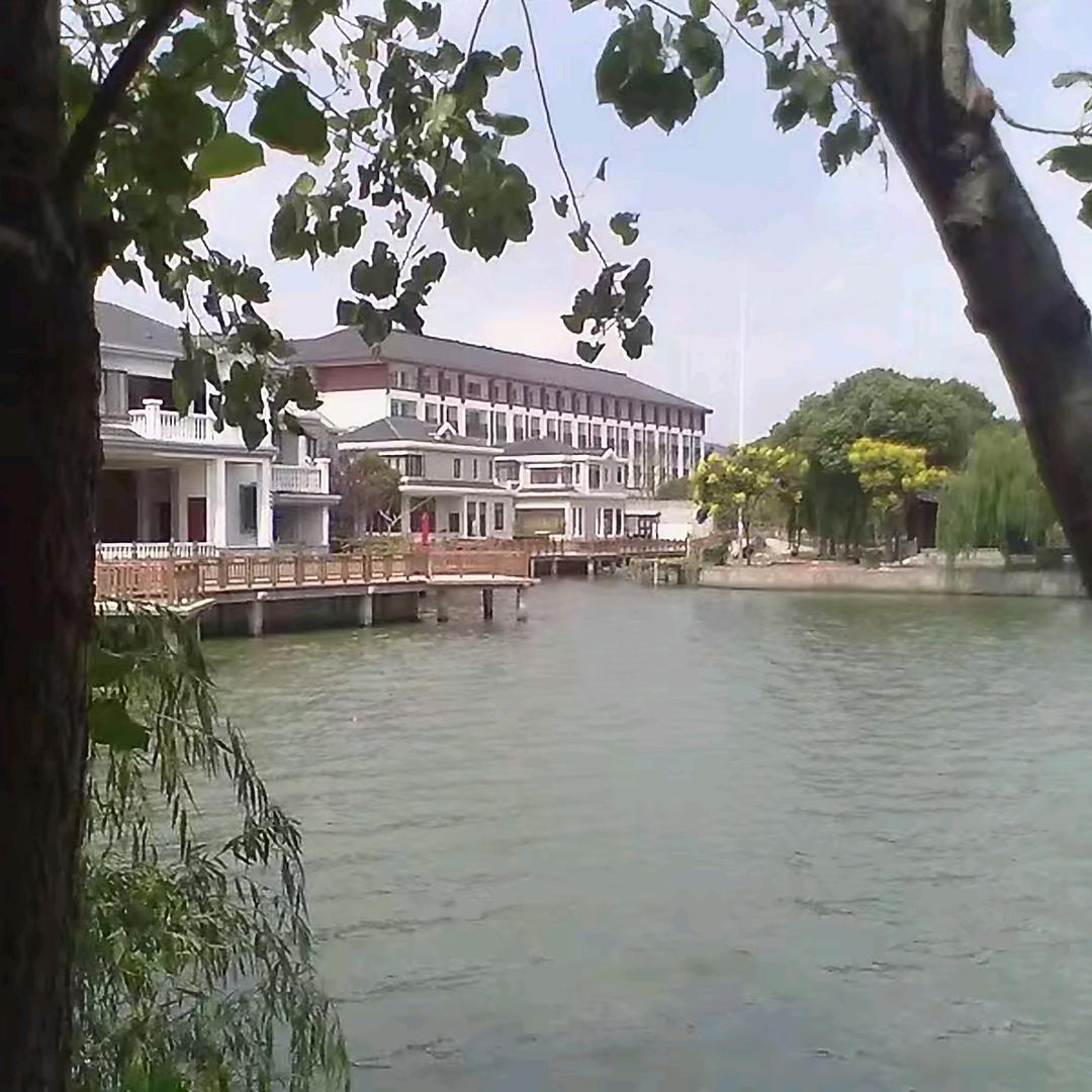 ￥优雅$转身￥🥟