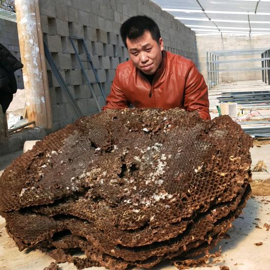 简单～～生活