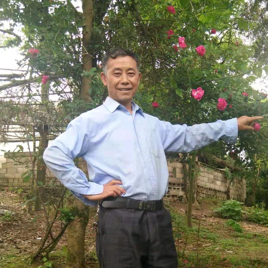 张忠元