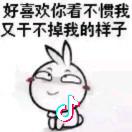 始于初见