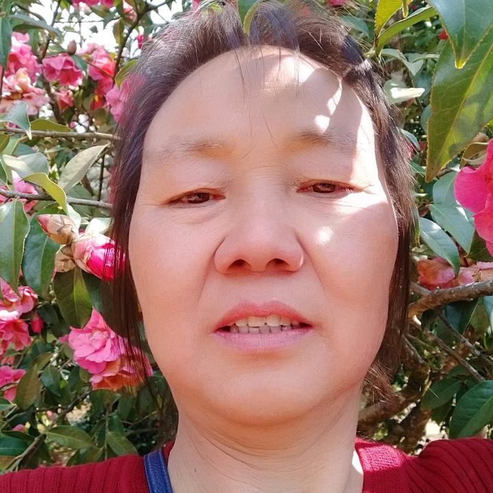 刘会仙