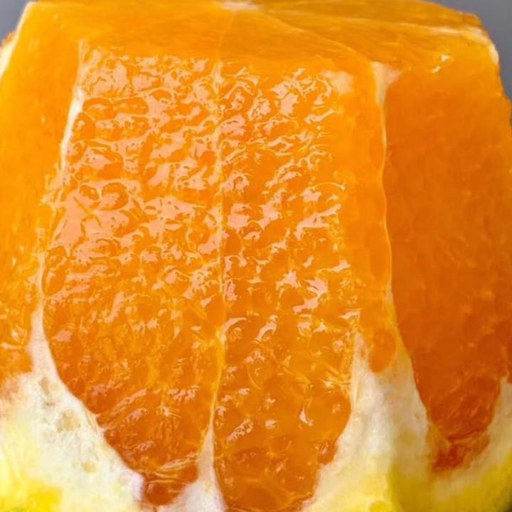 陀螺