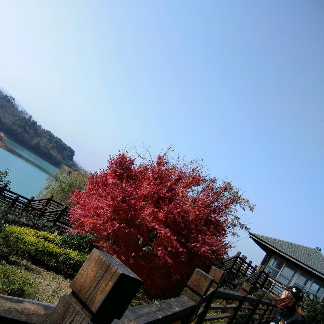 ꦿ໊时光᭄🕊