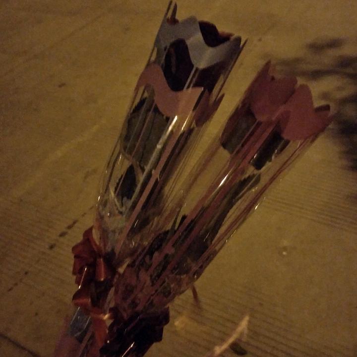 盛开的玫瑰花🌹