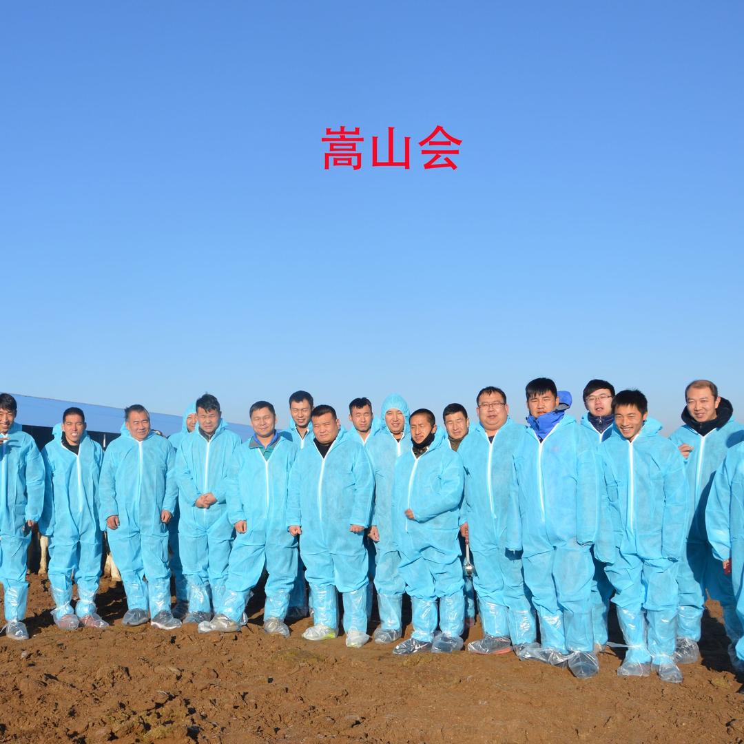 songshanhui